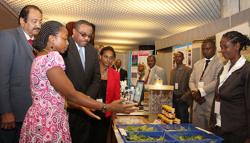 Ethiopian Youth to Benefit from Young Entrepreneurs in Silk and Honey Project